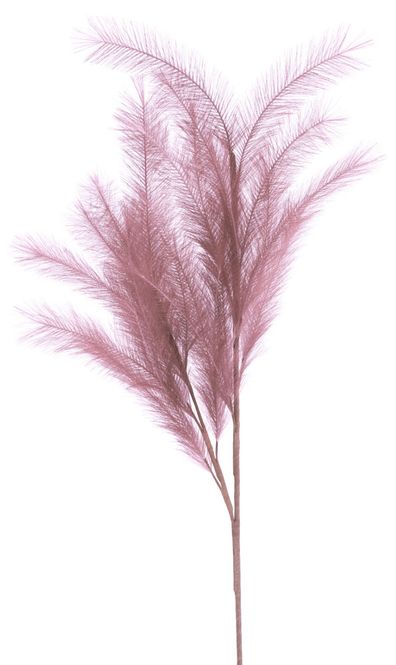 Hovedbilde Kvist Med Fjær